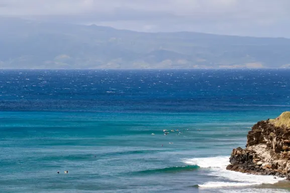 Kassu Kaszinó Támogatás